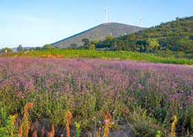 易景通景區(qū)票務系統(tǒng)和西山花海景區(qū)達成合作協(xié)議